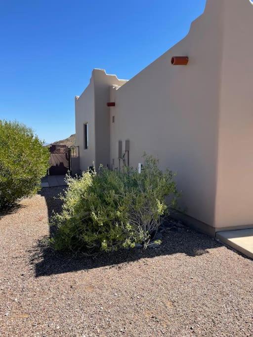Tucson Mnt Foothills Saguaro Bliss Villa Buitenkant foto