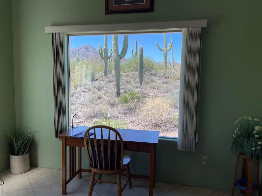 Tucson Mnt Foothills Saguaro Bliss Villa Buitenkant foto