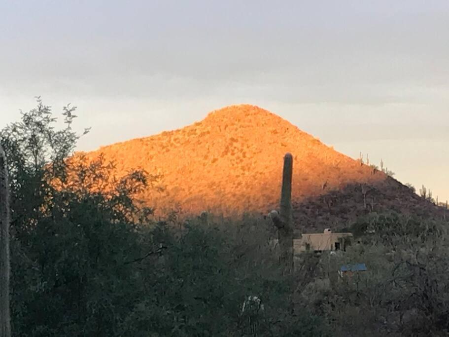 Tucson Mnt Foothills Saguaro Bliss Villa Buitenkant foto