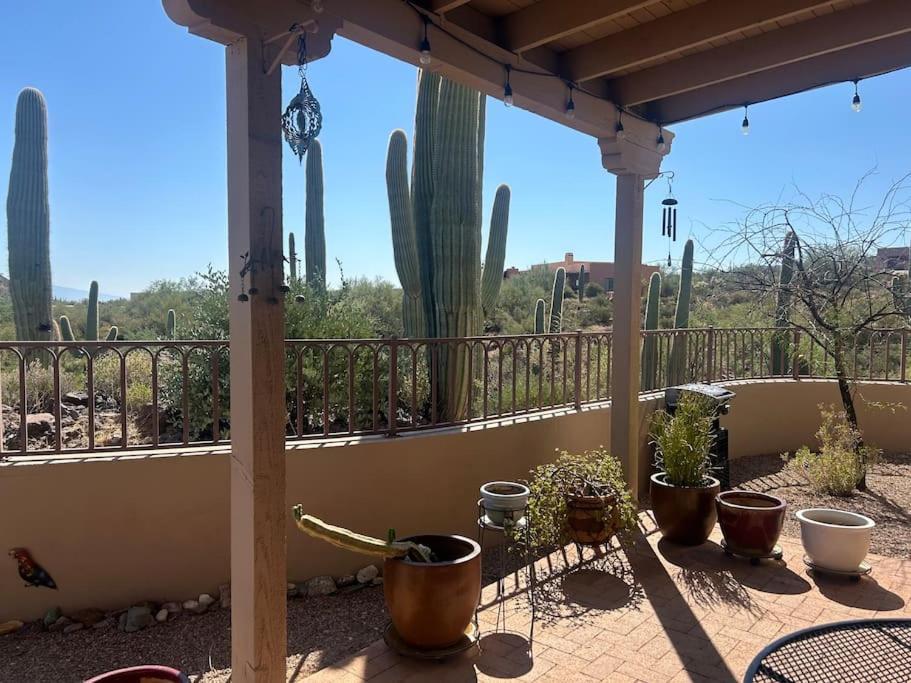 Tucson Mnt Foothills Saguaro Bliss Villa Buitenkant foto